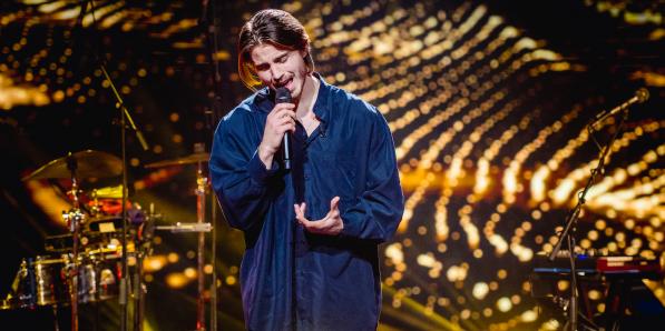 tulpen uit antwerpen