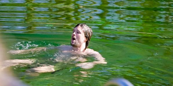 the voice van vlaanderen