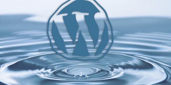 Wordpress lek