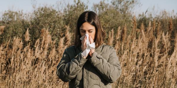 Saison des pollens