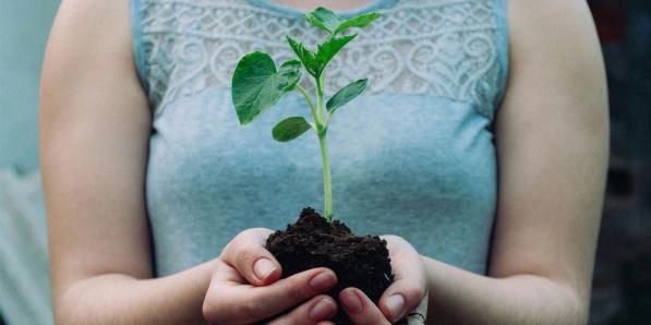 ecologische voetafdruk