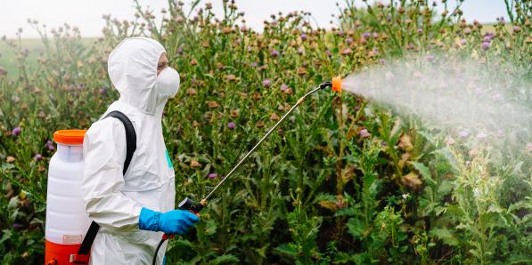 pesticide glyphosate