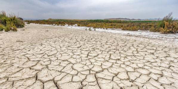 L'Andalousie (Espagne), victime de la sécheresse