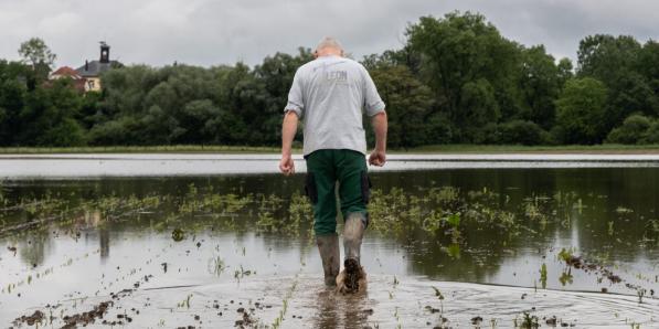 Producteurs belges pluie 2024