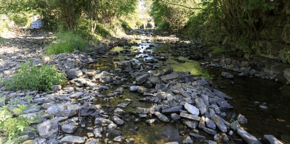 Le Hedree, ruisseau de la rivière Wamme