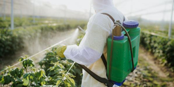 pesticides produits chimique