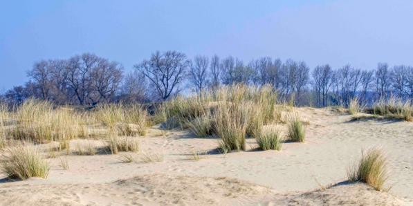 dunes la Panne