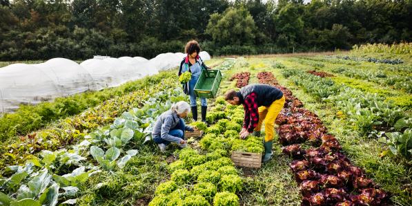 agriculture bio