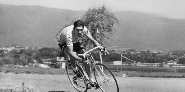 Eddy Merckx