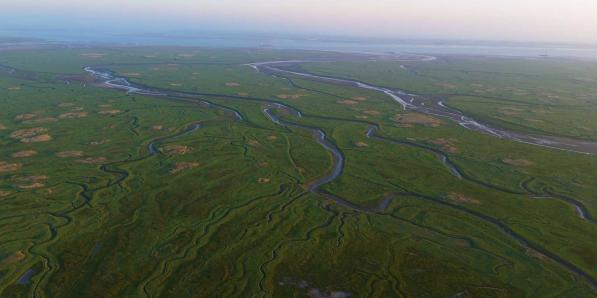 Verdronken Land van Saeftinghe