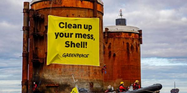 Greenpeace Natuurpunt