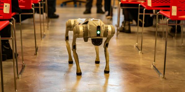 chien robot IA