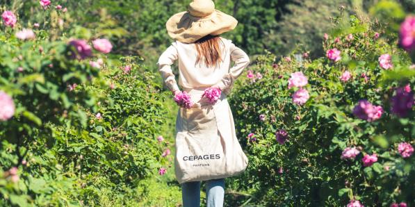 Cépages parfums