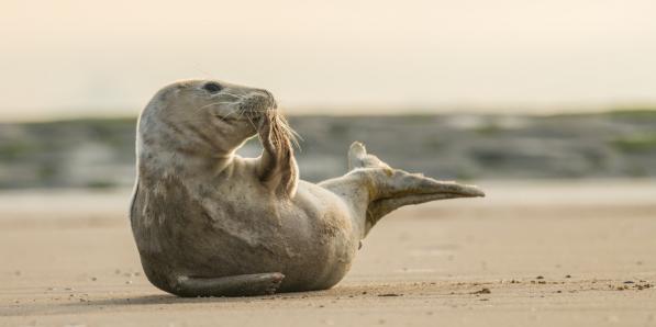 Noordzee