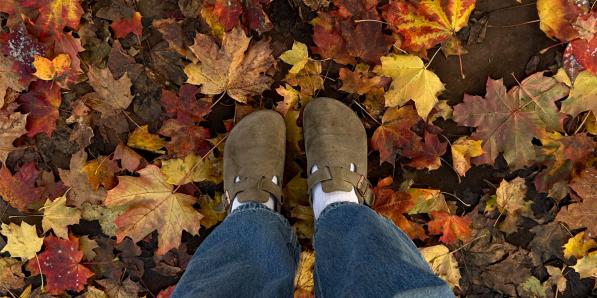herfst sterrenbeeld