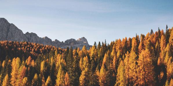 herfst gezellig