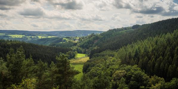 nature Wallonie