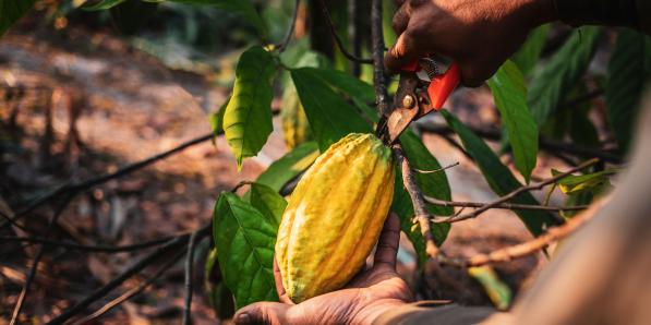 financement fonds développement agréés