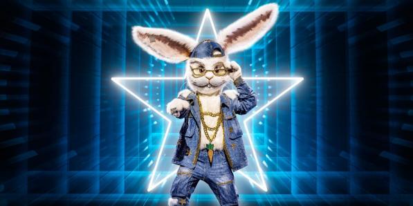 Konijn The Masked SInger tips