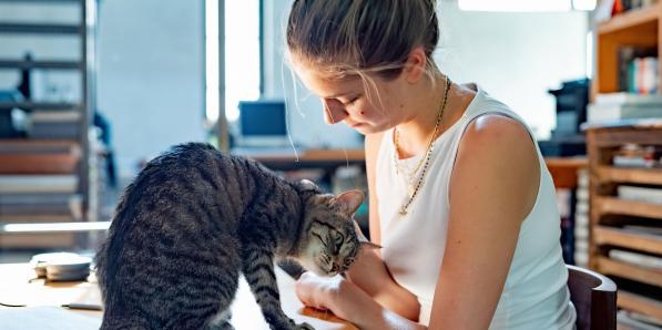 crazy cat lady