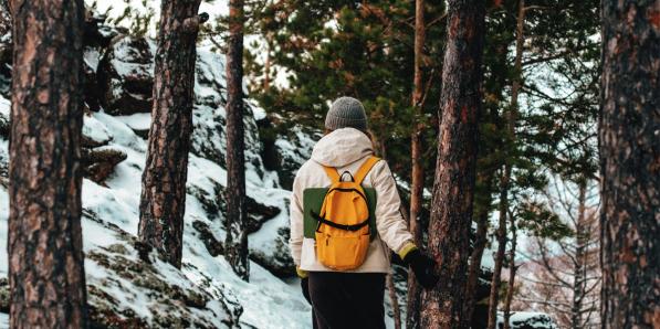 wandeling ardennen in de sneeuw