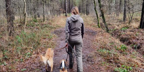 lange wandelingen vlaanderen