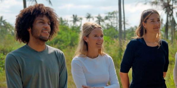 de mol
