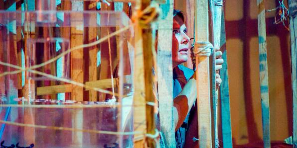 nathalie meskens code van coppens