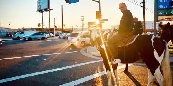 reizen waes wereldsteden