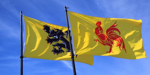 Drapeau belge le coq hardi sur fond de ciel bleu et drapeau flamand du lion