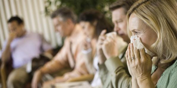 épidémie grippe Belgique