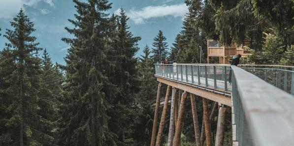 zwitserland boomtoppenpad