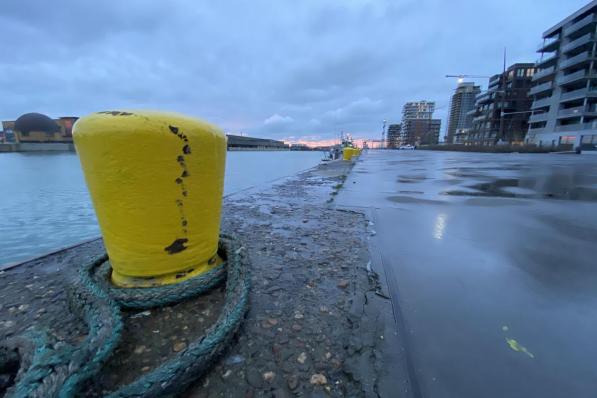 De bolders werden door de haven al in het geel geschilderd, maar dat blijkt niet voldoende.©Jeffrey Roos Jeffrey Roos