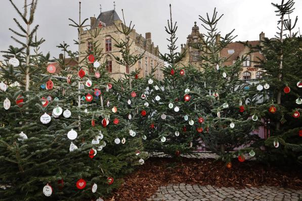 Het kerstbos telt al 4.000 kerstballen met een warme boodschap.©Myriam Van den Putte