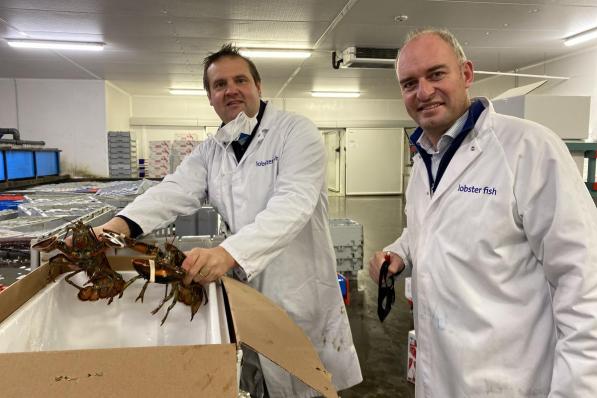 Het Deerlijkse bedrijf Lobster Fish is de nummer één in de sector van de schaal- en schelpdieren. Je bemerkt Nils Vanwassenhove en CEO Christof Malysse aan de kreeftenbakken.© DRD