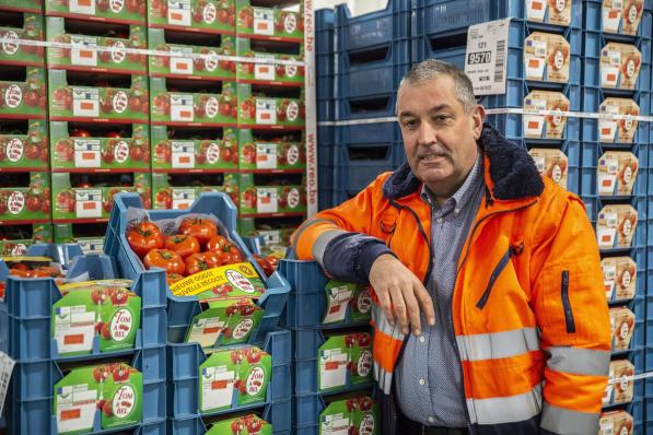 “Tomaten blijven de populairste groente”, aldus Paul Demyttenaere, directeur van de REO Veiling in Roeselare.© Stefaan Beel