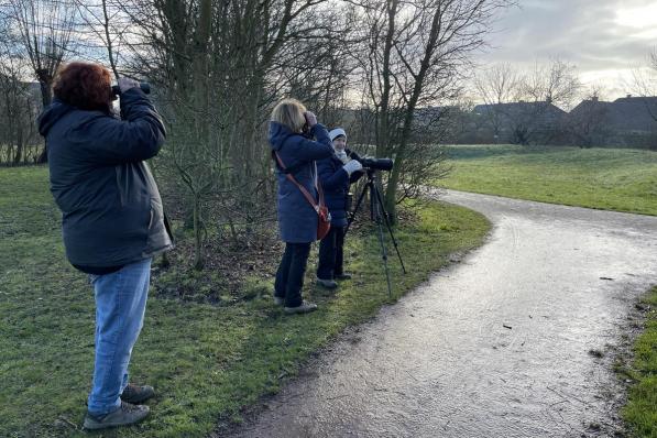 Enkele vogelspotters hopen in het park de zeldzame Bruine Boszanger te spotten.© (Foto JRO)