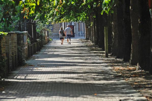 Vandaag en morgen worden er zieke bomen gerooid in Nieuwpoort.© IV