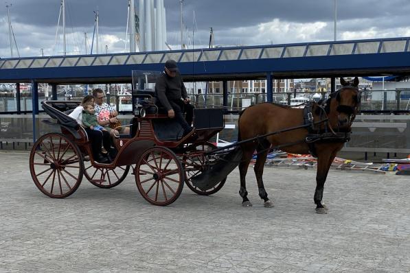 Een paardenkoets in het Oostends straatbeeld.© Jeffrey Roos