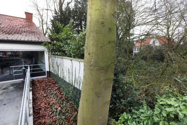 Tussen zaal Club de B (links) en het domein ’s Gravenwinkel (met rechts het herenhuis op de achtergrond) bevindt zich het verbindingsstukje dat de stad nu aankoopt.©Johan Sabbe