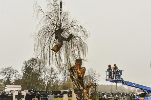 De laatste tak wordt met een telescopische kraan verwijderd. De oude treurwilg is onthoofd.© LVW