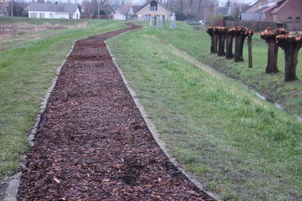 De geplande ledverlichting moet toelaten dat, met respect voor de natuur, ook ’s avonds gebruik kan gemaakt worden van de Finse piste.© JG