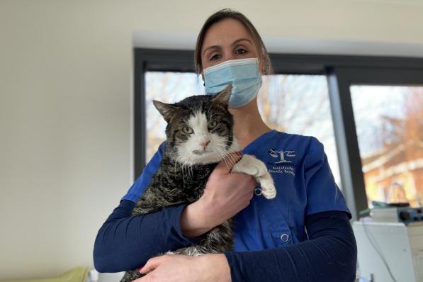 De situatie zag er niet goed uit, maar intussen stelt de kat het goed.© foto TP