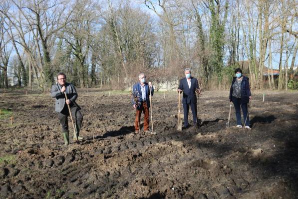 Gedeputeerde Jurgen Vanlerberghe, schepenen Martin Obin en Marc Deprez en burgemeester Lies Laridon hielpen mee bomen planten.© ACK