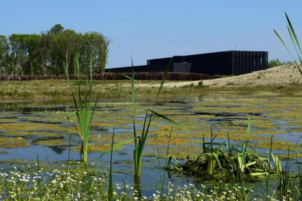 Het Zwin Natuur Park mocht een derde minder bezoekers verwelkomen in 2020 dan in 2019, maar in de zomer en het najaar werden records genoteerd.© Provincie West-Vlaanderen