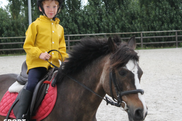 Enkel manegepaarden kunnen nog gebruikt worden voor lessen, hier in Sport Vlaanderen Woumen.©Centra gf