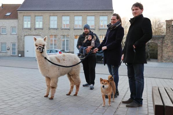 Alpaca Sputnik met Tom en Arthur Decostere, Maxime Huysman en David Van Moorleghem en Toshi. (foto MG)