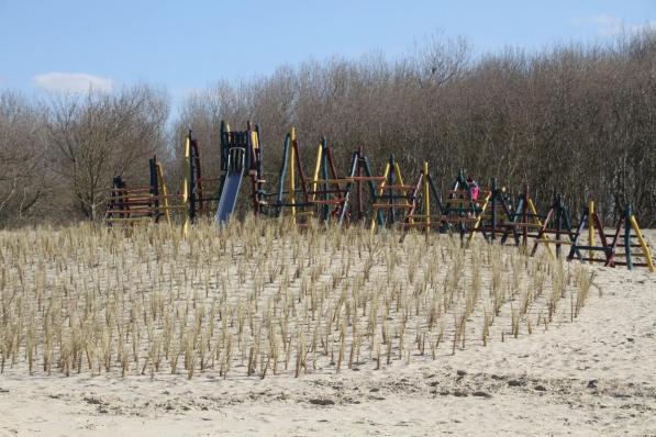 Het gras zorgt ervoor dat het zand blijft liggen.© DM