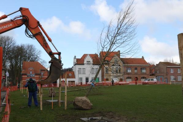 vandaag werden de bomen op de Dries te Kemmel geplaatst©Eric Flamand Regional