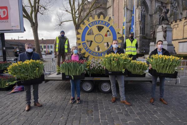 In Poperinge beslisten ze om de tulpenplukactie coronaproof te laten doorgaan.© foto MD